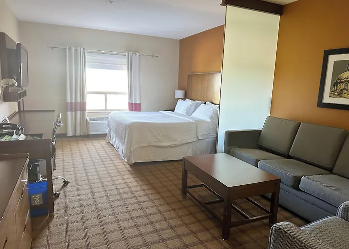Luxury hotel only: Four Points By Sheraton Edmonton Gateway