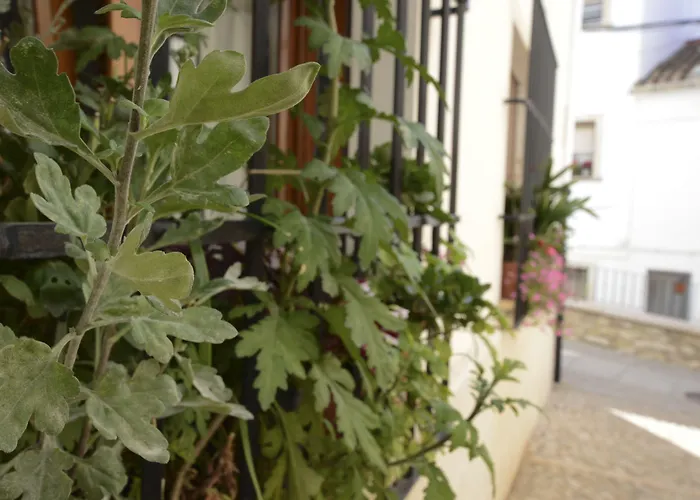 Hotel familiar: Hostal La Fonda Grupo Terra de Mar, alojamientos con encanto
