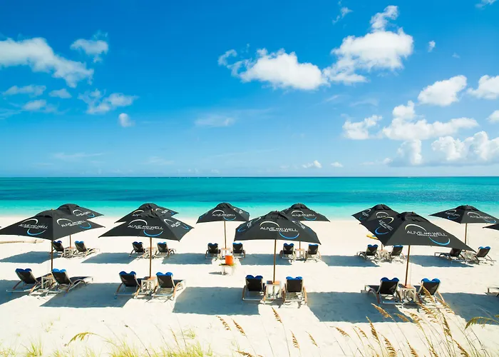 Resorts Guide One On Marlin (Adults Only)