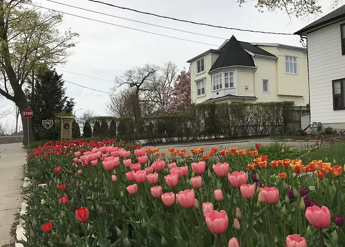 B&B only: Bedham Hall B&B