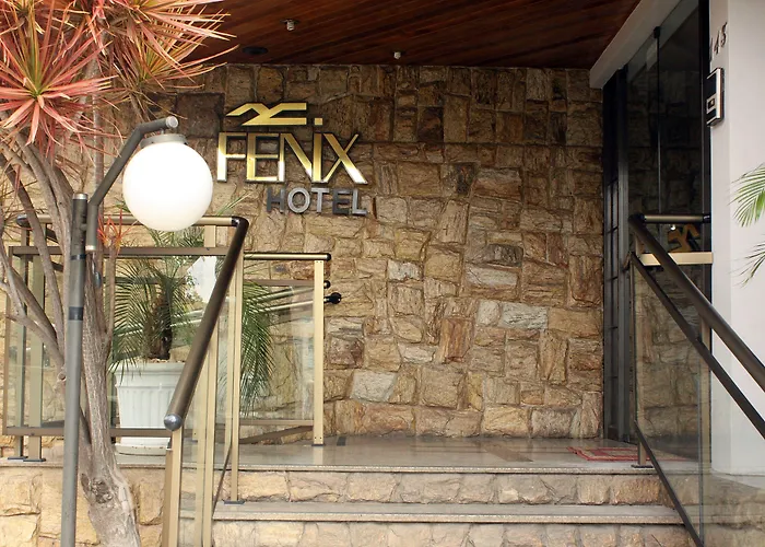  Fenix Pouso Alegre
