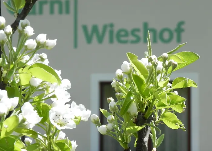 Hotel Garni Wieshof