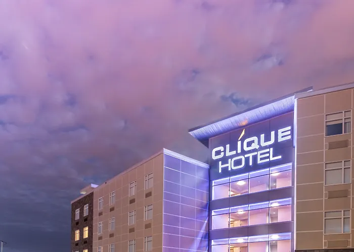 4 star hotel: Hotel Clique Calgary Airport
