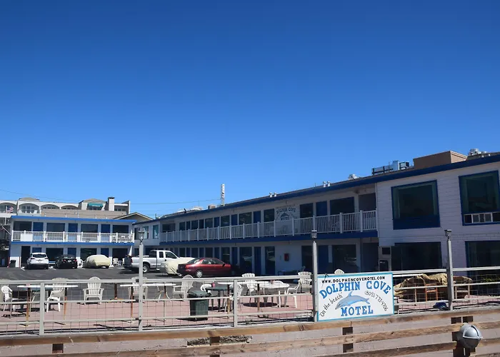 3 star hotels Dolphin Cove