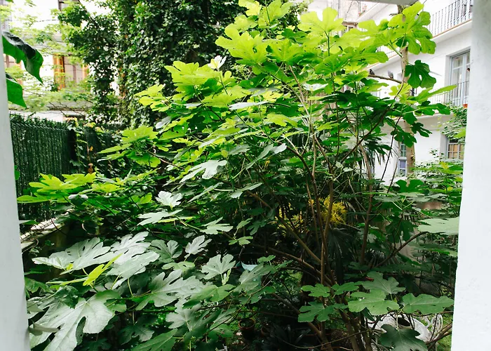 Hostal San Sebastian Centro