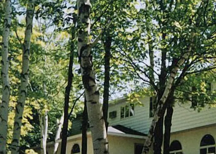 White Birch Inn