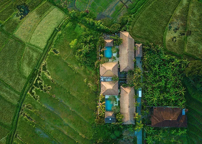 The Zala Villa
