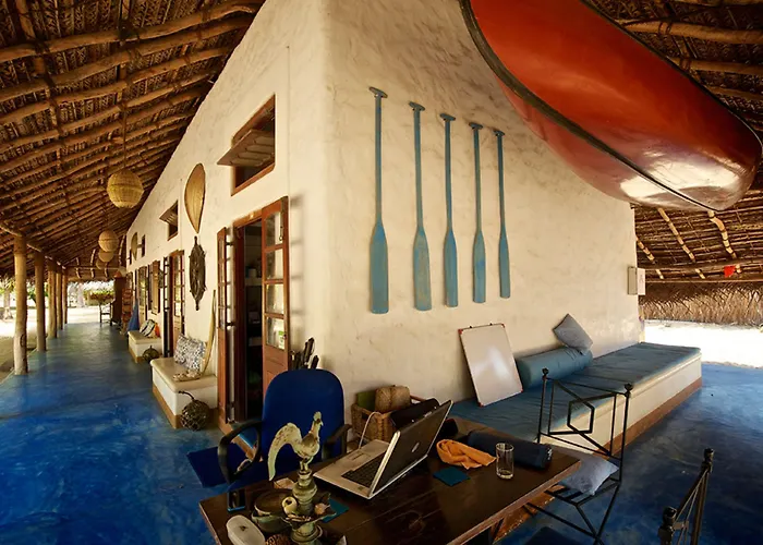 Family Friendly Hotels Dolphin Beach