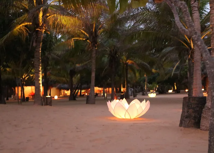 Family Friendly Hotels Dolphin Beach