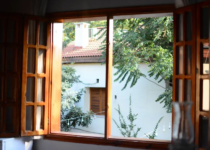 Wood House