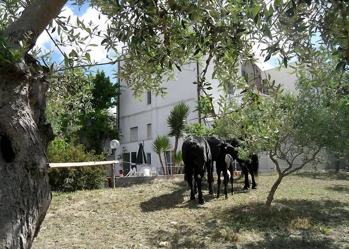 Hotel con tennis: Le Sorbole