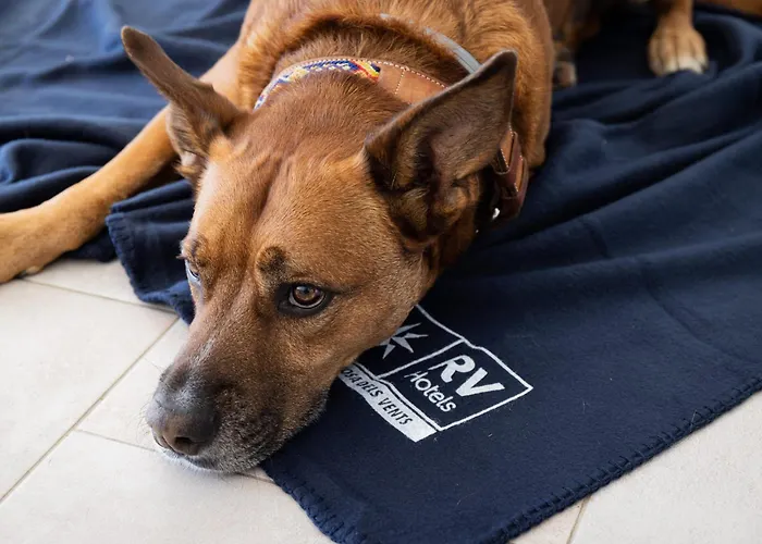 Hotel de lujo: Rvhotels Tuca