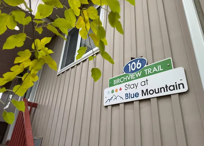 5 Bedrooms, Mountain Views, Steps From Blue Mountain Village, Hot Tub, Bbq