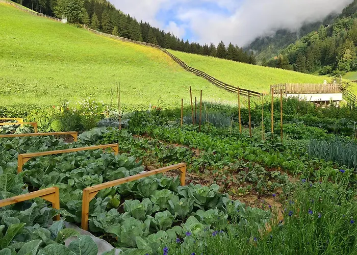 Hotel vicino al College: Sennerhof