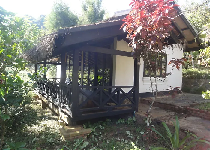 Hillside - Nature Lifestyle Lodge