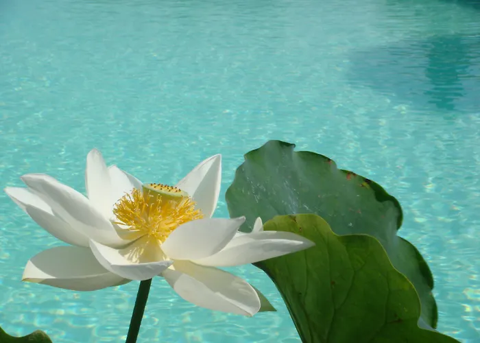 Casa vacanza: Agriturismo Raccianello