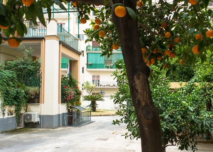 Hotel: B&B Il Nido