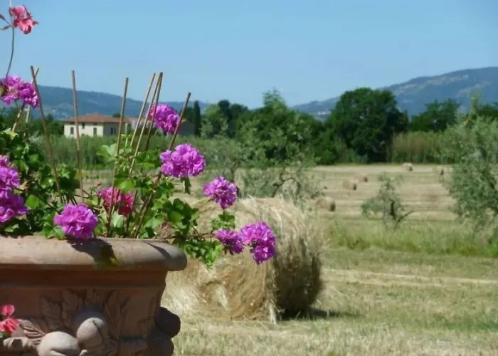 La Torricella