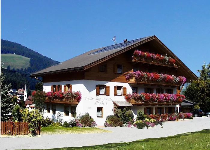 Hotel Ping Pong: Pensione Arnica