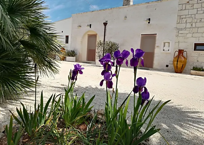  B&B Demetra