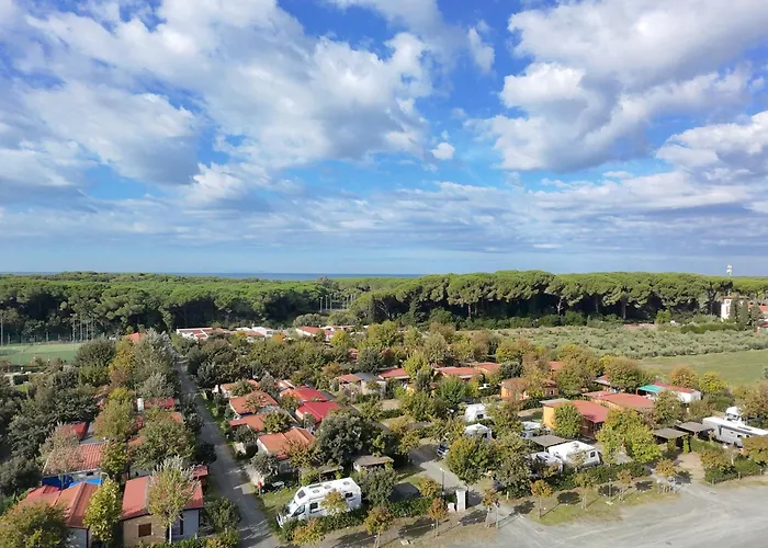 Hotel sulla spiaggia: Camping Village Bocca di Cecina