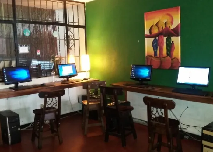 Casa Kiwi