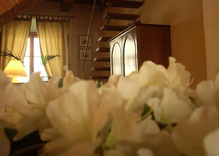  Capri Moon Guest House