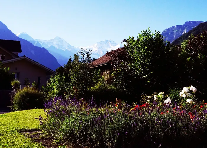 Adventure Hostel Interlaken