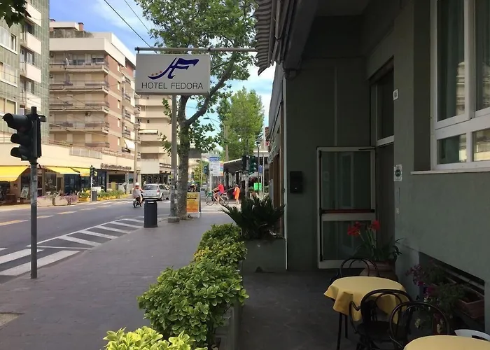Hotel 3 stelle: Hotel Fedora Rimini