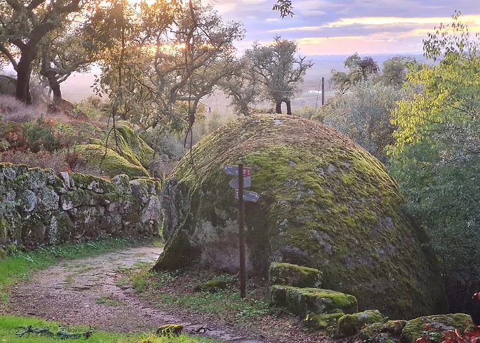 Quinta de São Pedro de Vir-a-Corça em Monsanto