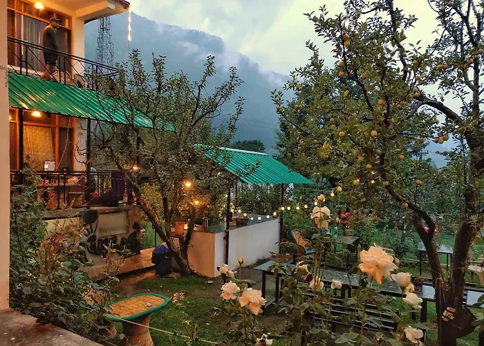 Hostel: Madpackers Manali