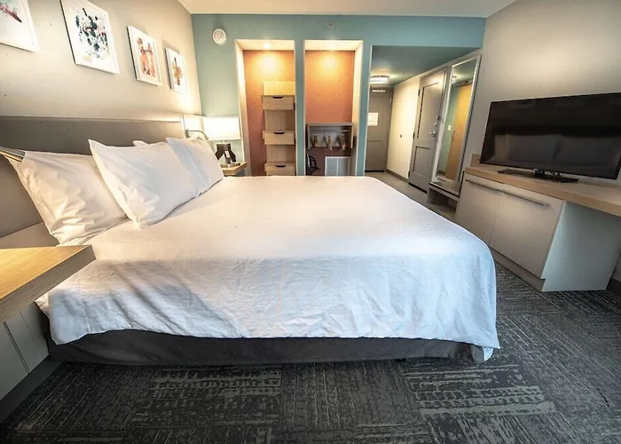 Hilton Garden Inn Asheville South