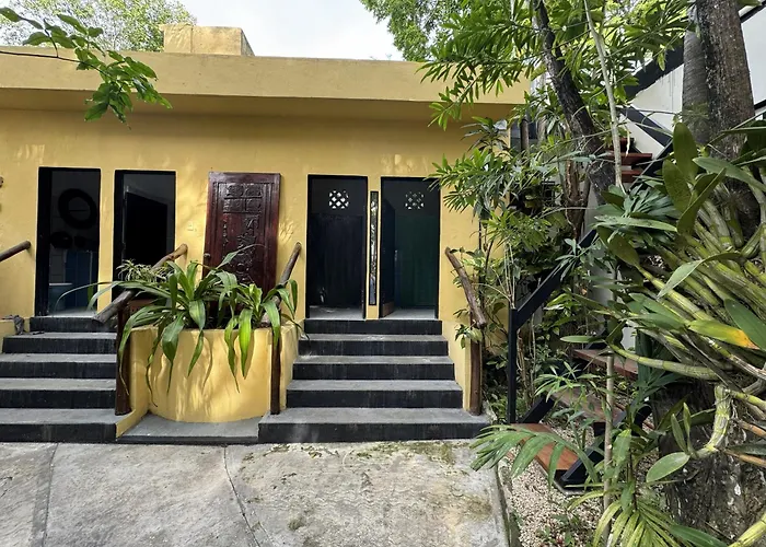 Oryx Tulum