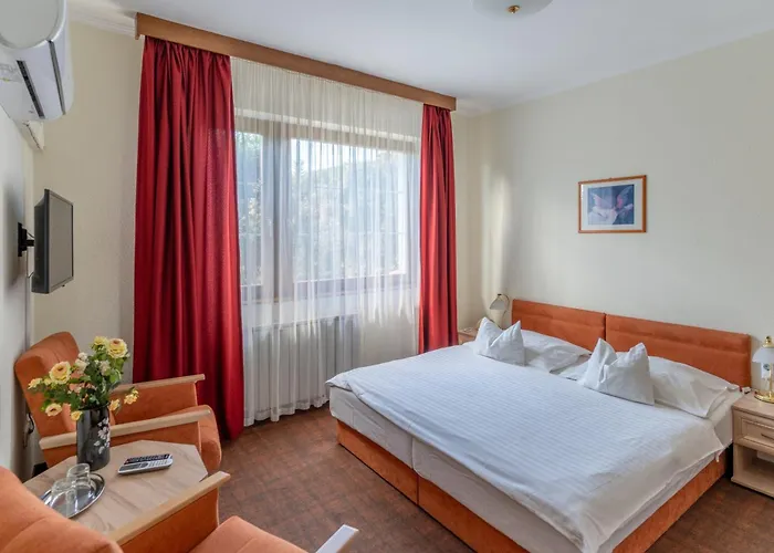 Hotel de esqui: Hotel Molnár