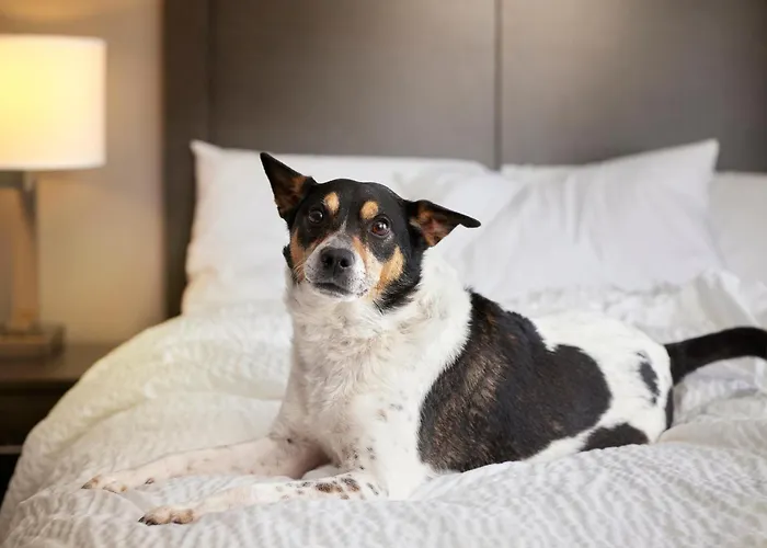 Family Hotel: Yggotel Mejse