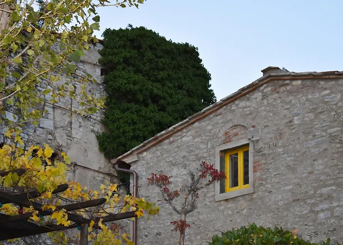 CasaMatta Azienda Agricola
