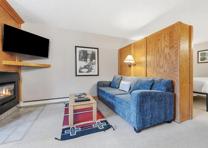 Lift House Lodge, Pet Friendly Studio Condo
