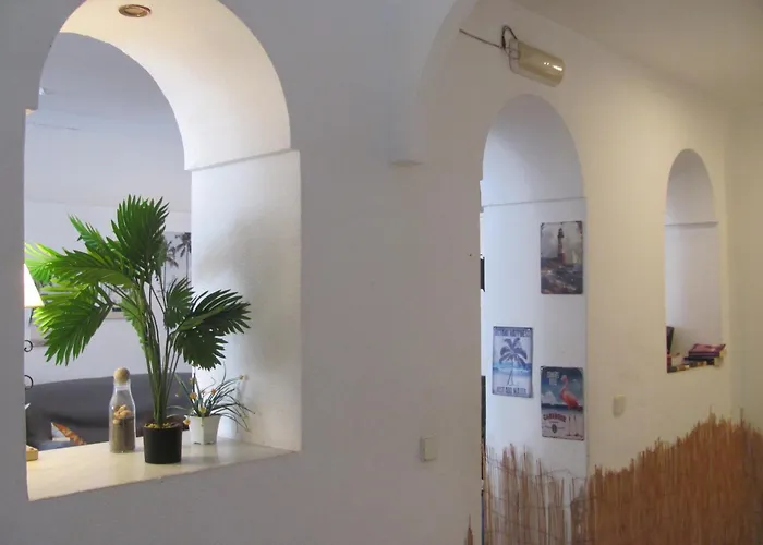 Albergue: Terraza del Limonar