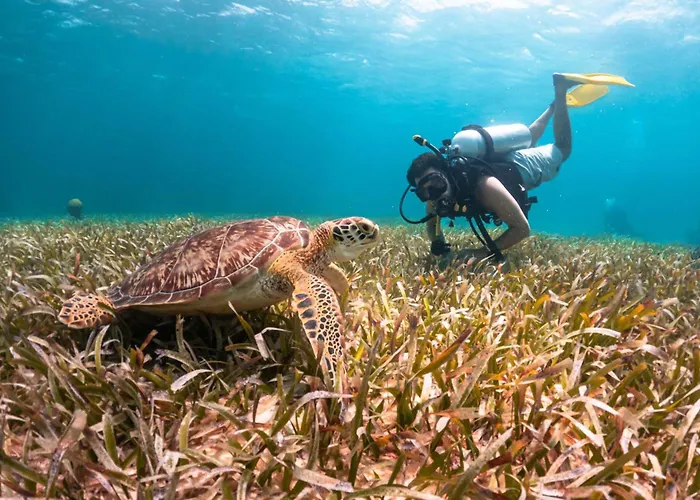 Reef Haven Belize