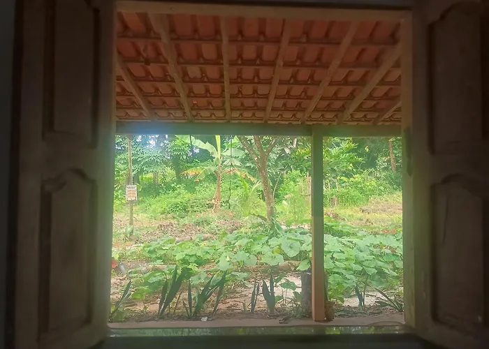 Casa na floresta cósmica
