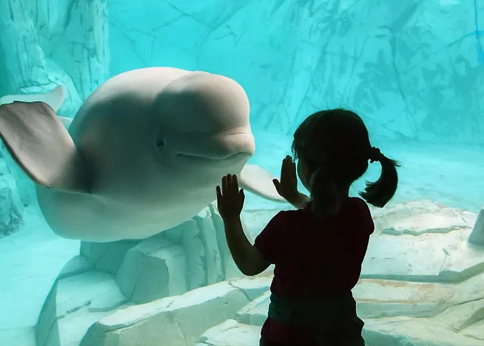 Sole Rosso Acquario