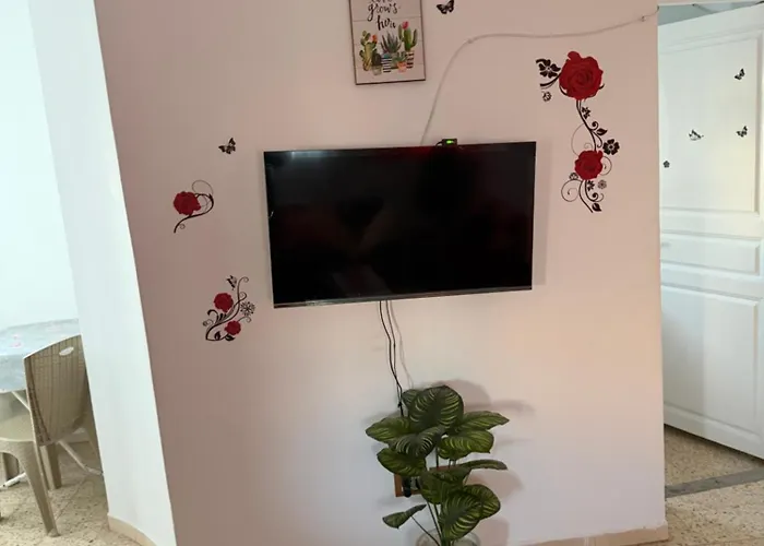 Home Zeinbe 2