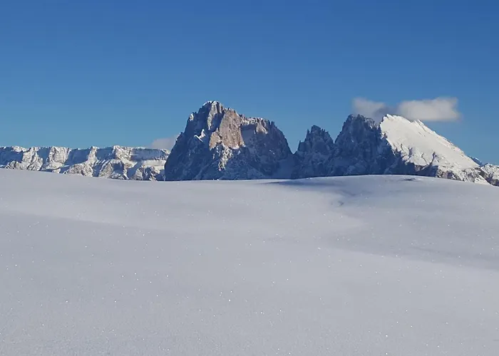 Alpenroyal