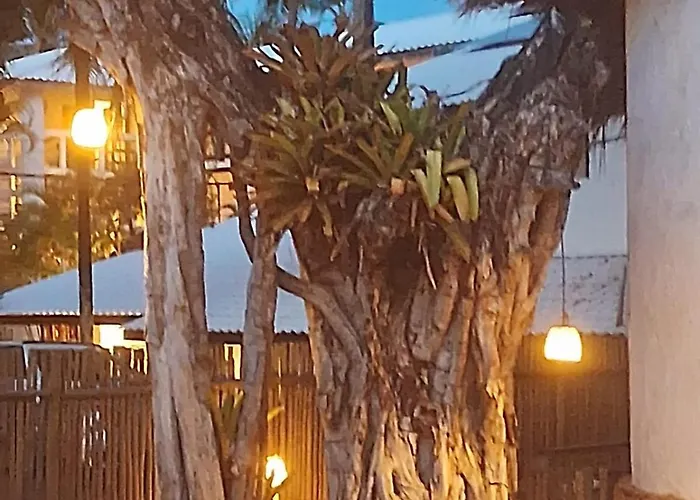  Pousada Farol das Tartarugas