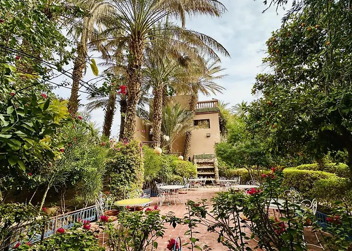 Chez Ali Zagora Authentic Restaurant And Desert Excursions