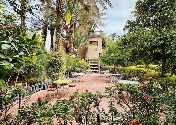 Chez Ali Zagora Authentic Restaurant And Desert Excursions