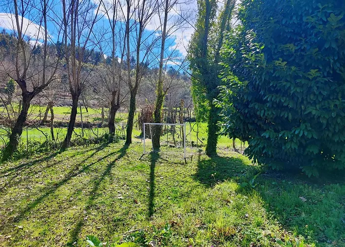 Hotel barato: Agroturismo Quinta De Travancela