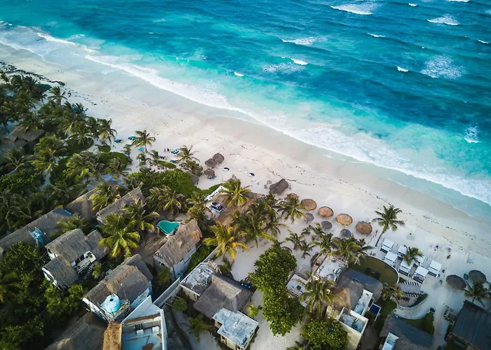 Casa Tira - Your Luxury Jungle Mansion In Tulum