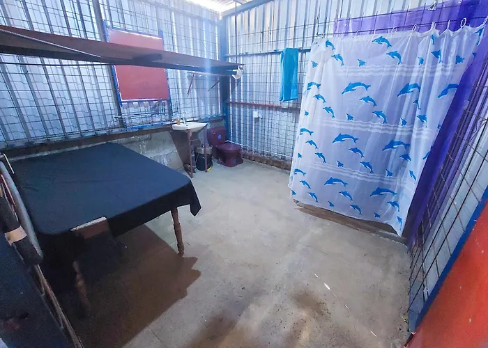 Nicky'S Family Home