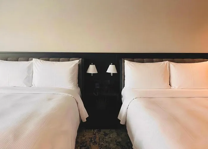 Hotel perto da faculdade: Hilton Sao Paulo Morumbi